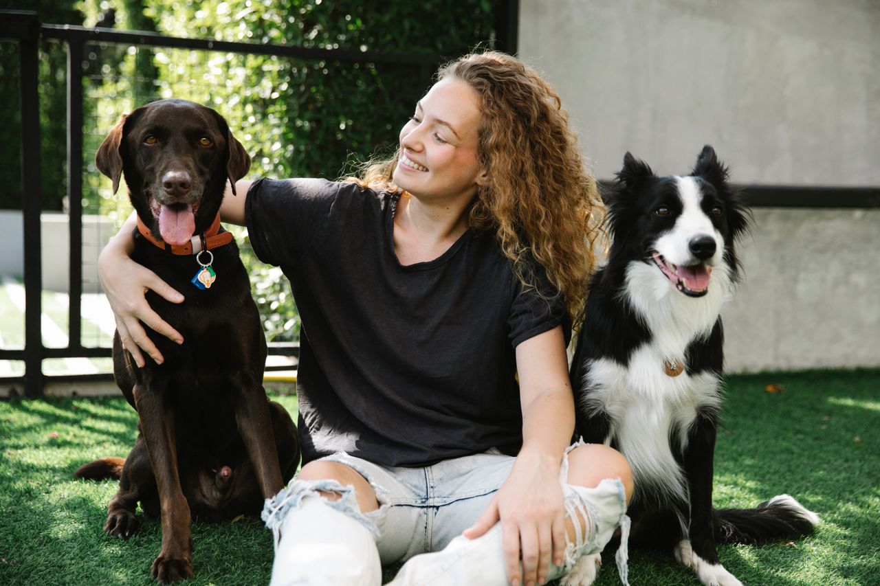 services-01 Content female embracing pointing dog in collar with pendant against Border Collie on lawn in patio